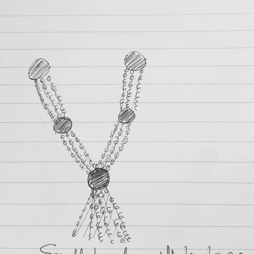 PHOTO-2019-03-05-11-30-47